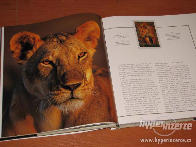 NOVÁ kniha * Jaké to je být lvem * - foto 9