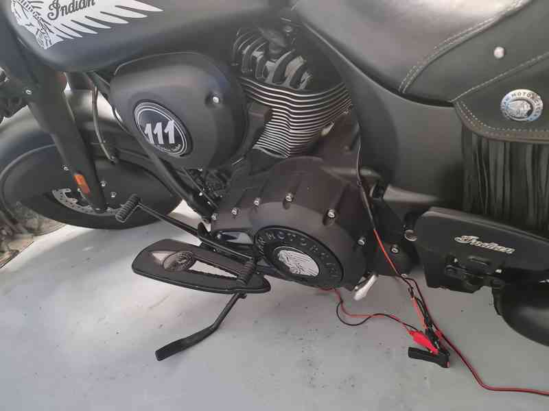 Indian Cieft Dark Horse - foto 5