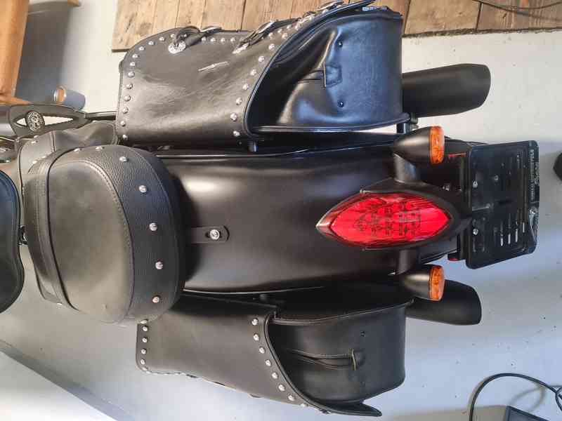 Indian Cieft Dark Horse - foto 9