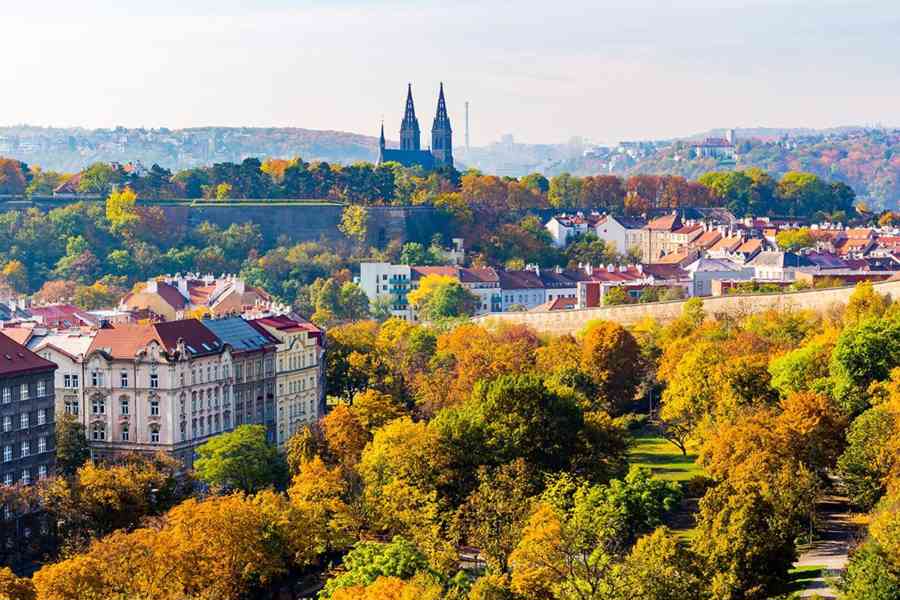 Prodej bytu 2+1, pl. 61,5 m2, Balkón, 1. NP,  Praha 4 Nusle - foto 9