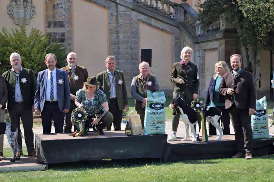 Prodám štěňata bernského honiče - foto 4