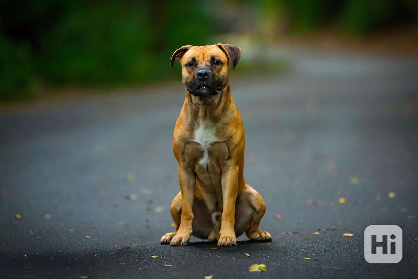 Kratos - foto 1