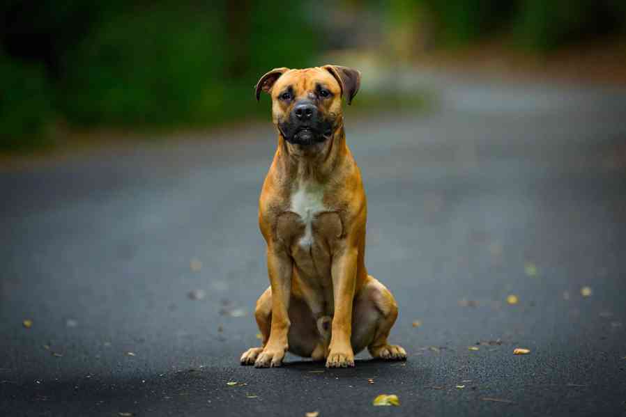 Kratos - foto 1