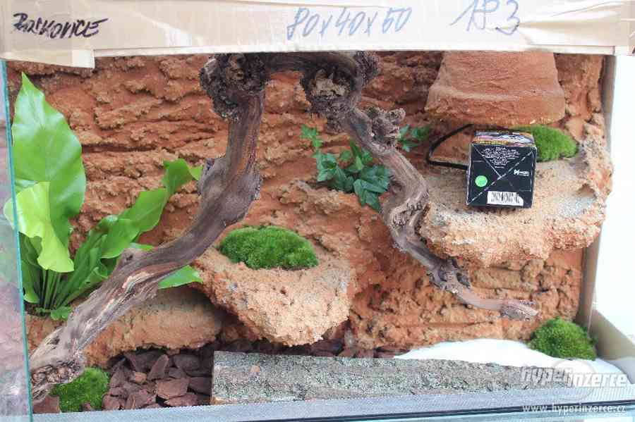 Terárium  vybavené pro chameleony,felsumy,agamy a jiné - foto 12