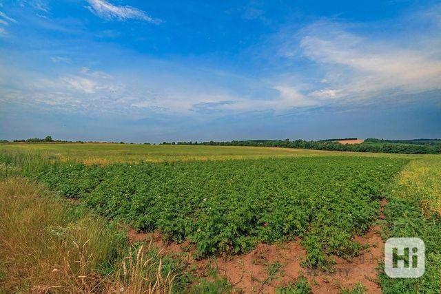 Prodej orné a ostatní plochy o CP 5683m2 v Líšni, prodej orná půda Líšeň - foto 5