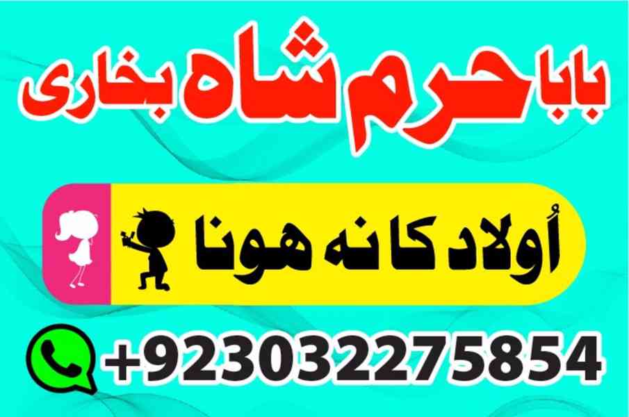 rio de janeiro businesses for sale, amil baba karachi – blac - foto 7