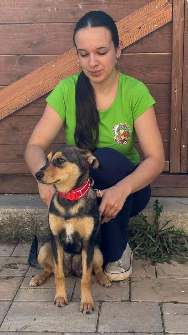 PENNY - fenečka, štěně 6 měsíců  - foto 6