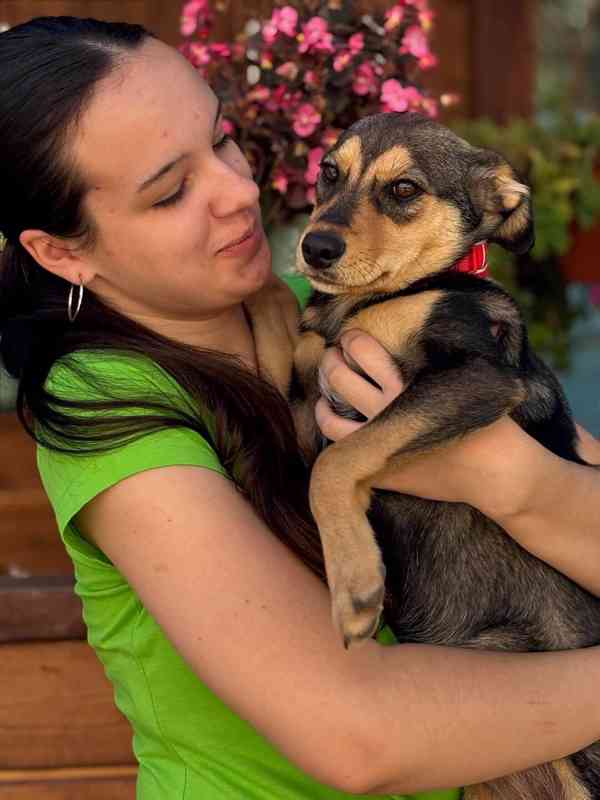 PENNY - fenečka, štěně 6 měsíců  - foto 1