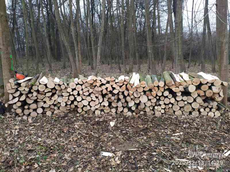 Tvrdé Štípané kvalitní palivové dřevo - foto 1