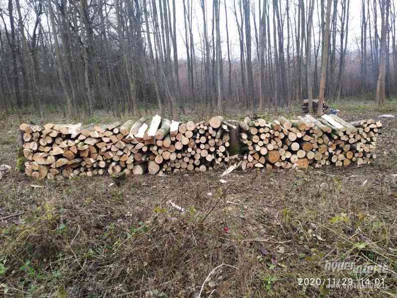Tvrdé Štípané kvalitní palivové dřevo - foto 3