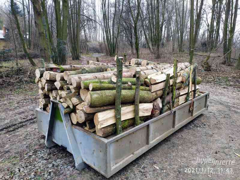Tvrdé Štípané kvalitní palivové dřevo - foto 4
