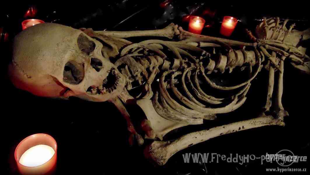 Replika člověka - lidská lebka a kosti v životní velikosti - foto 2