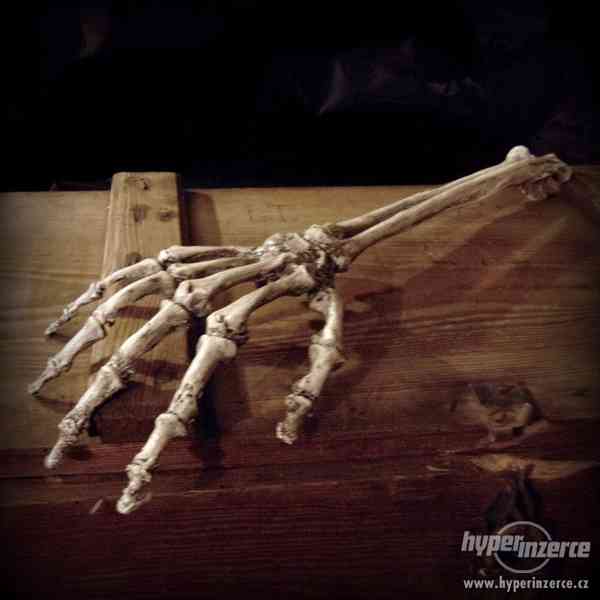 Replika člověka - lidská lebka a kosti v životní velikosti - foto 6