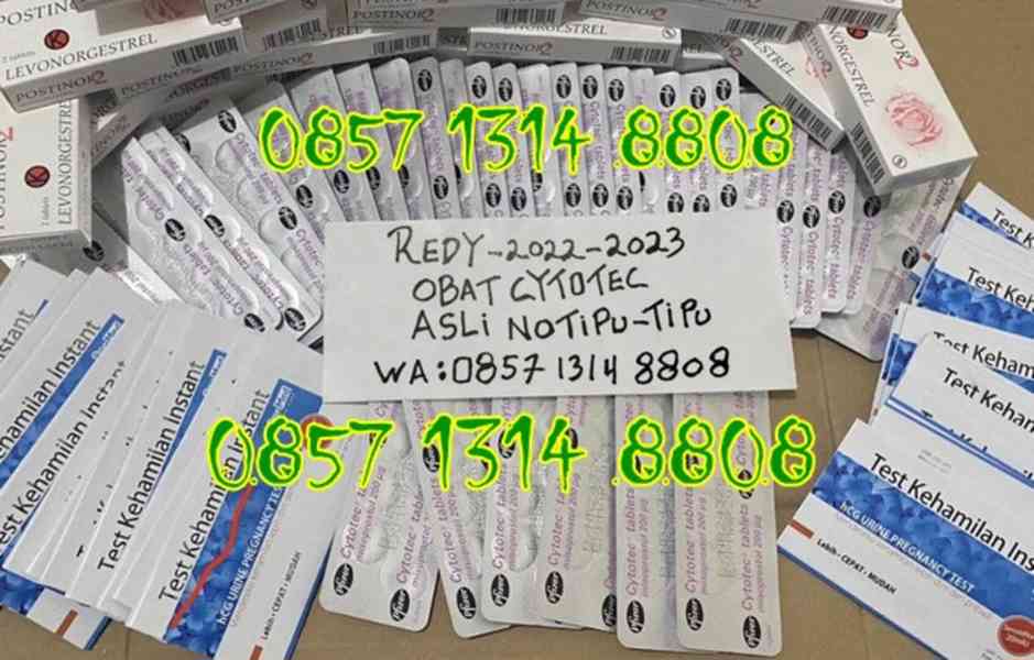 obat penggugur kandungan alodokter 085713148808 cytotec asli - foto 2