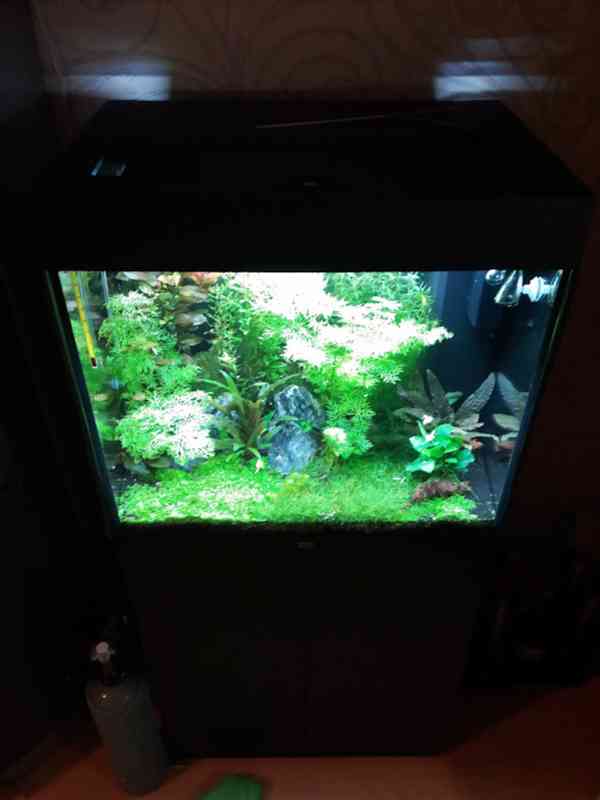 Akvárium Juwel Lido 120 LED černé se skříňkou