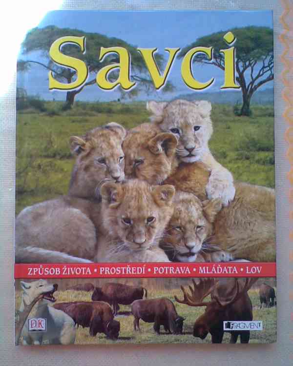 Nové pro chlapečka - foto 5