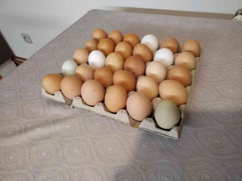 Domácí vajíčka od farmáře  - foto 2