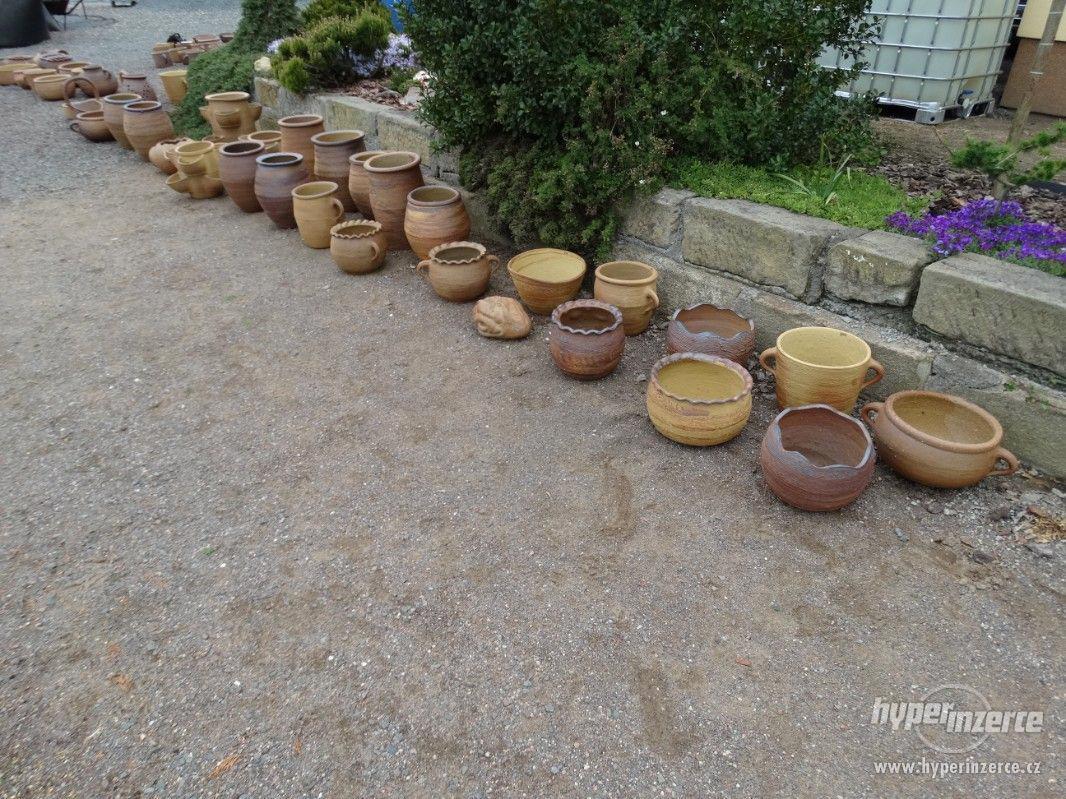 Okrasn Kv tin e P len Mrazuvzdorn Bazar Hyperinzerce cz okrasn-kv-tin-e-p-len-mrazuvzdorn-bazar-hyperinzerce-cz