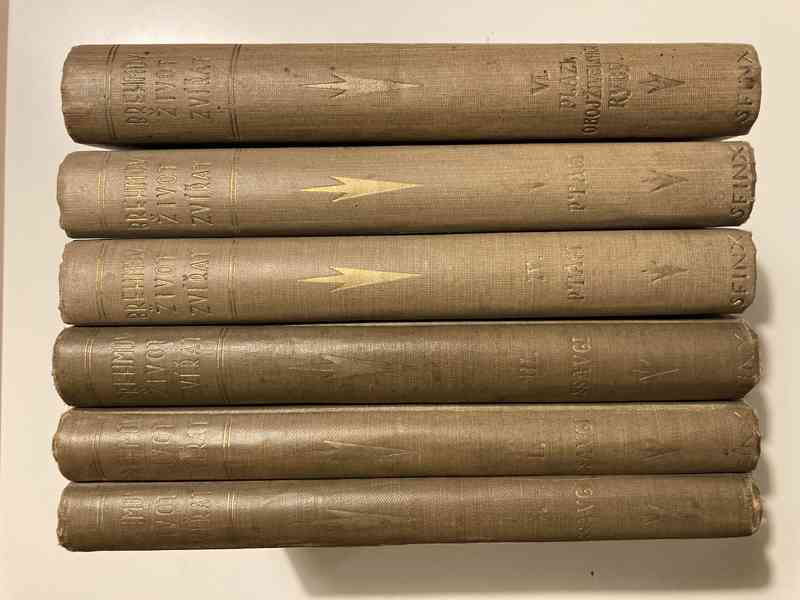 KNIHA - Šestidílný Brehmův život zvířat - foto 2