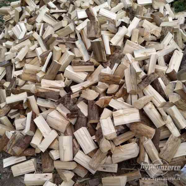 Palivové dřevo/ kulatina - foto 1