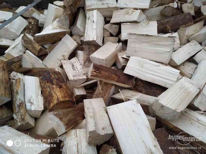 Palivové dřevo/ kulatina - foto 6