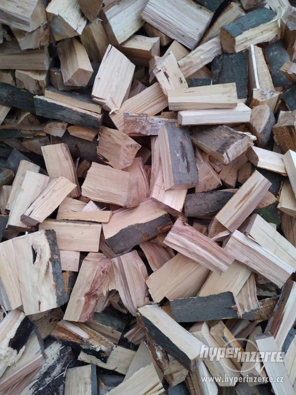 Palivové dřevo/ kulatina - foto 8