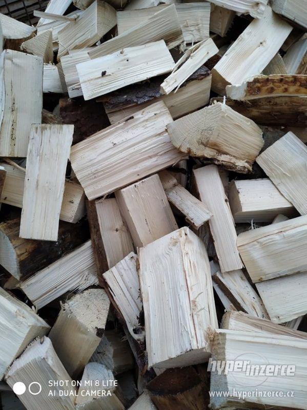 Palivové dřevo/ kulatina - foto 9