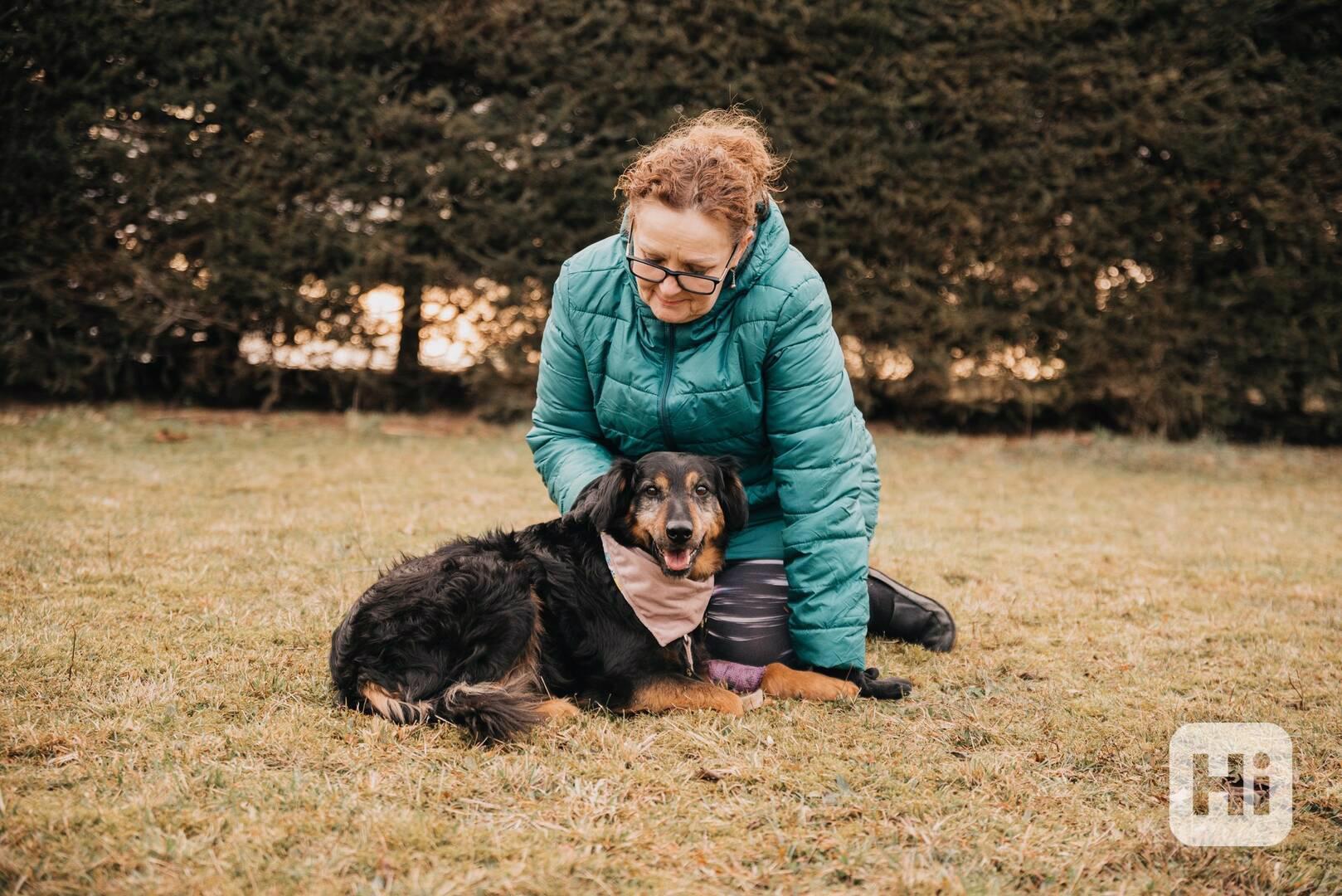 BOŘEČEK - 19 kg, kastrovaný psík 8 let - foto 1