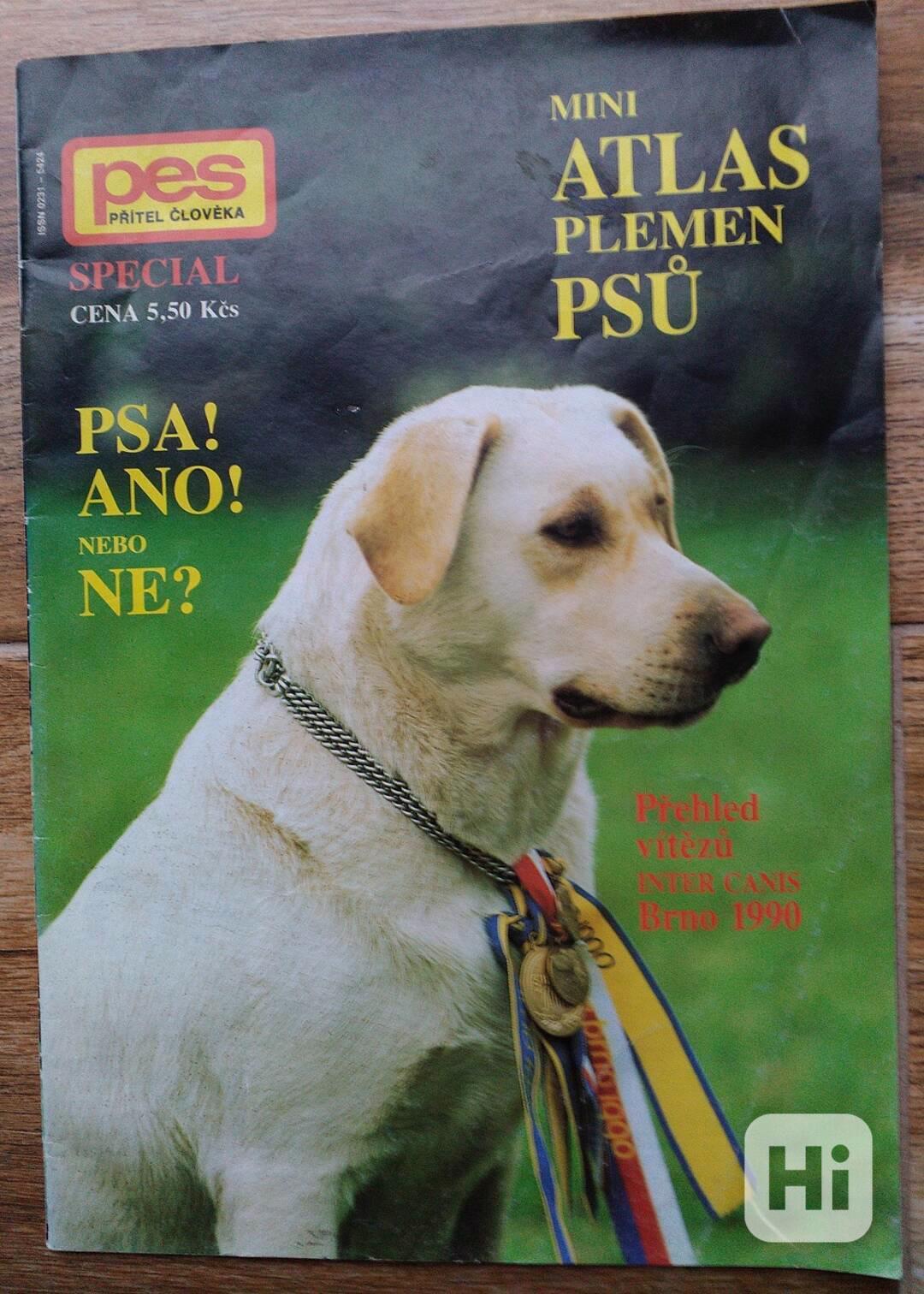 Pes přítel člověka special 1990? - foto 1