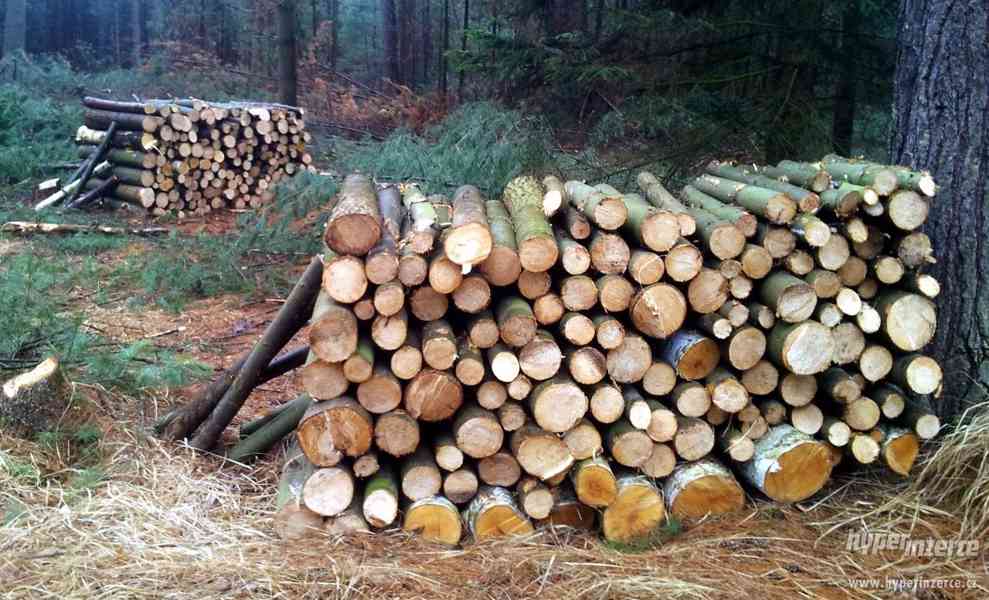 Palivové dřevo-600Kč/pm, Břehy u Přelouče - foto 1