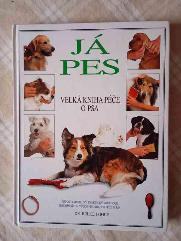 Kniha "Já pes"