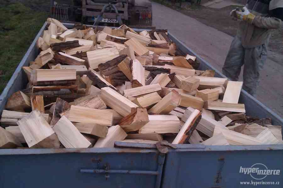 palivové dřevo - foto 1