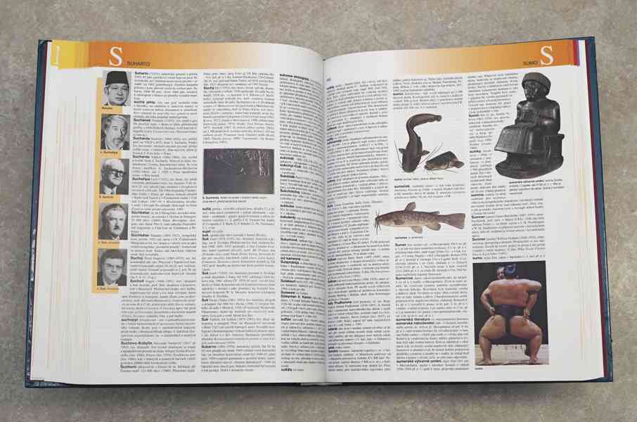 Ottova všeobecná encyklopedie 2 svazky - foto 5