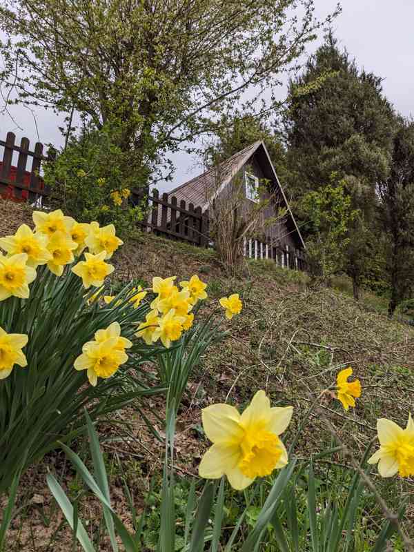 Dlouhodobý pronájem chaty s krásným výhledem na Labe - foto 2