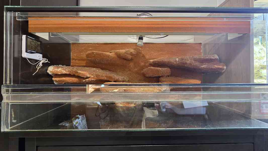 Terárium 110x50x50 - foto 1