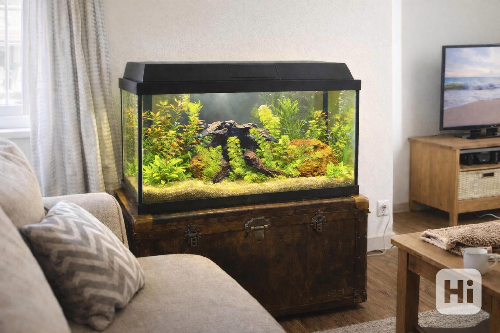 Prodám kompletně vybavené akvárium – 60 l - foto 1