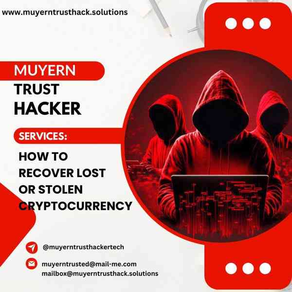 SECURING YOUR DIGITAL ASSETS WITH MUYERN TRUST HACKER - foto 1