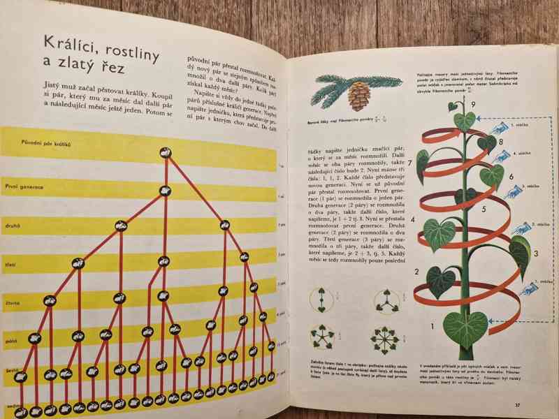 Čísel hra kouzelná - foto 13