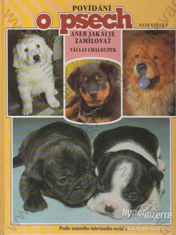 Povídání o psech aneb jak si je zamilovat  1993 - foto 1