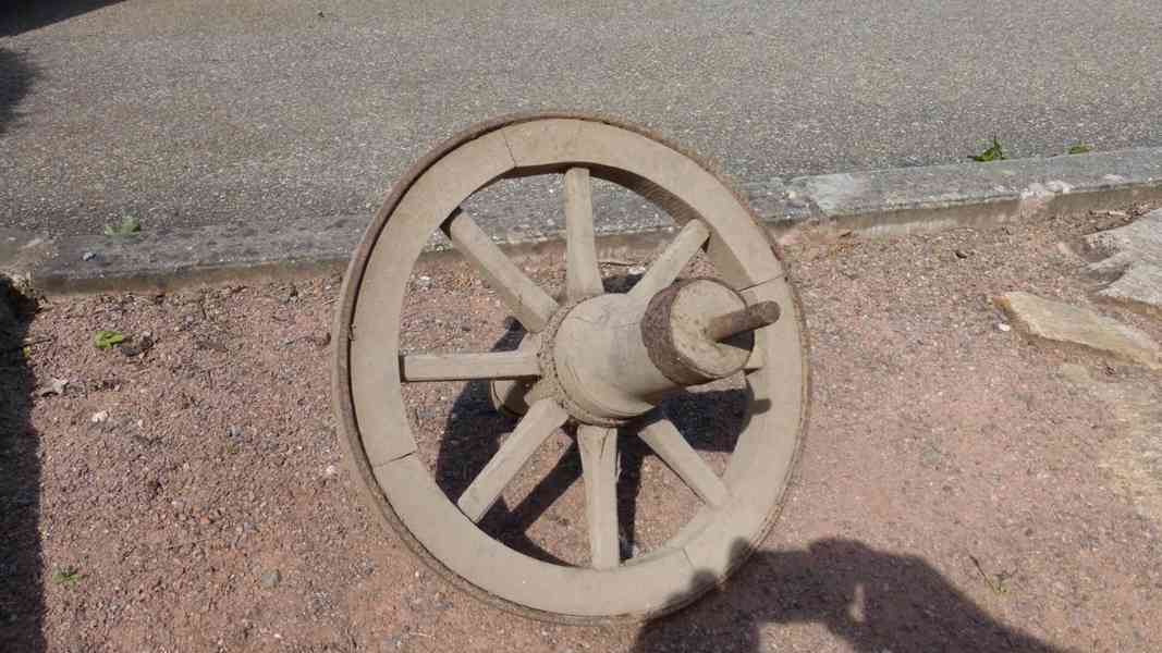 Kolo loukoťové - foto 2