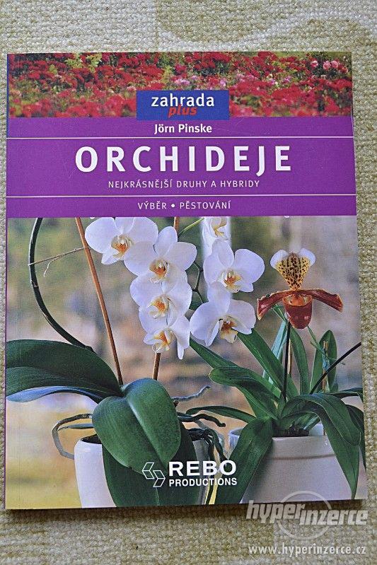 Orchideje - foto 1