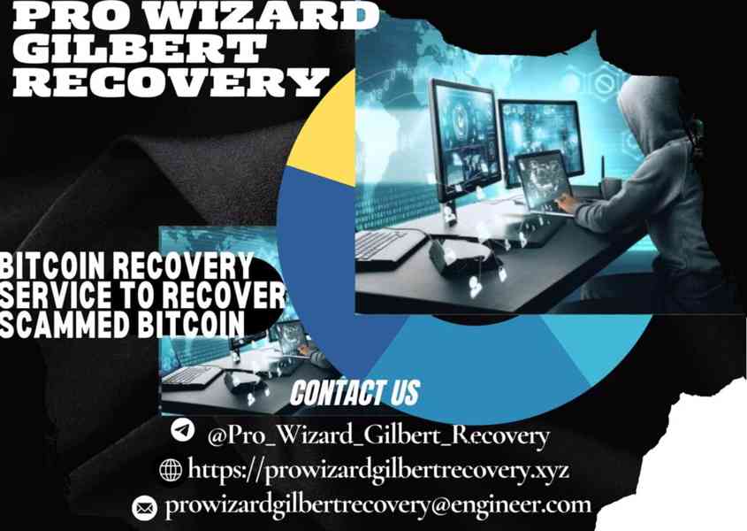 LOST CRYPTO  RECOVERY THROUGH PRO WIZARD GIlBERT RECOVERY - foto 1