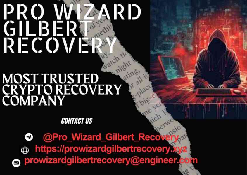 LOST CRYPTO  RECOVERY THROUGH PRO WIZARD GIlBERT RECOVERY - foto 3