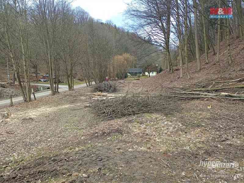 Prodej stavebního pozemku, zbořeniště, 7229 m?, Bohdalov - foto 4