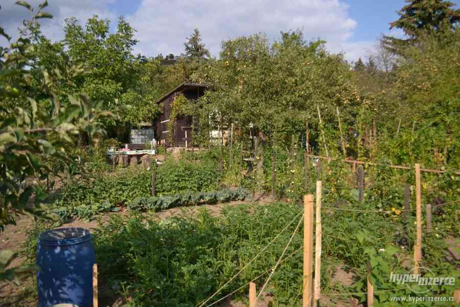 Prodej zahrady v OV, chatka 400m2 - Bystřany na Lišce - foto 6