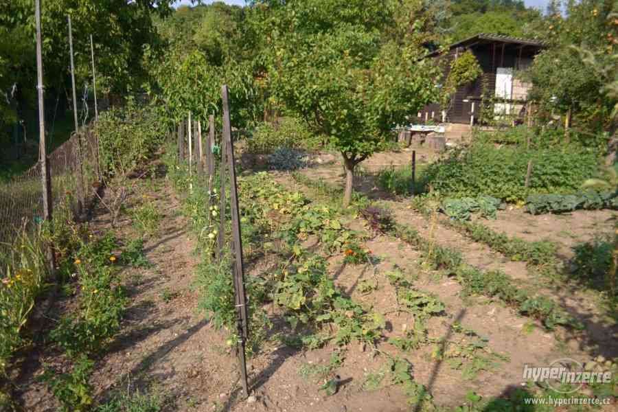 Prodej zahrady v OV, chatka 400m2 - Bystřany na Lišce - foto 7