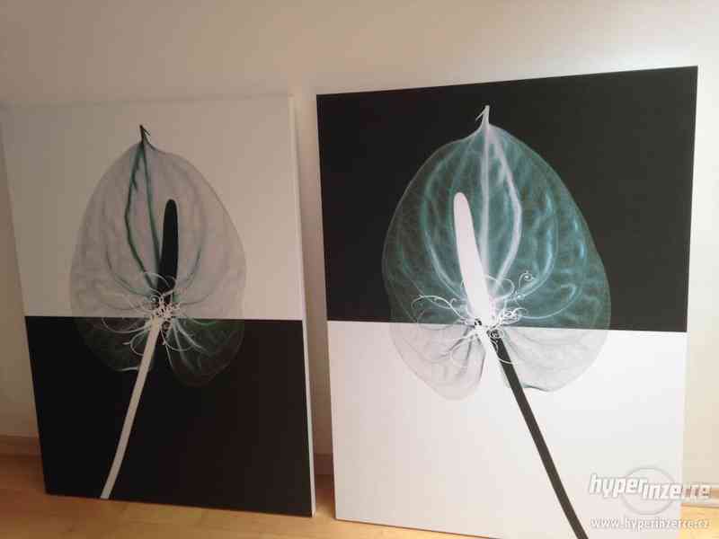 SLEVA Velké obrazy - černo-bílý - 2ks - foto 1