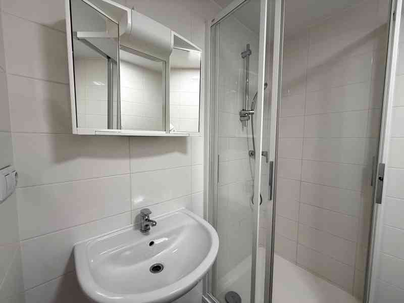 PRONÁJEM NEBYTOVÉHO PROSTORU V BRNĚ - MALOMĚŘICÍCH - foto 10