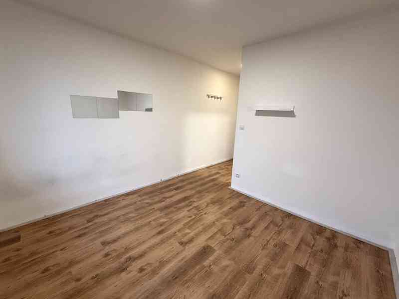 PRONÁJEM NEBYTOVÉHO PROSTORU V BRNĚ - MALOMĚŘICÍCH - foto 13