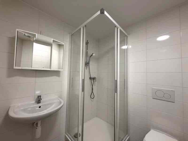 PRONÁJEM NEBYTOVÉHO PROSTORU V BRNĚ - MALOMĚŘICÍCH - foto 8